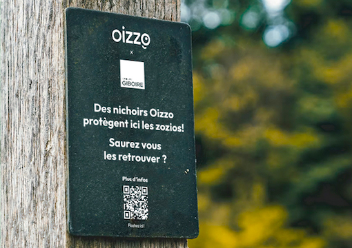 OIZZO - Communication